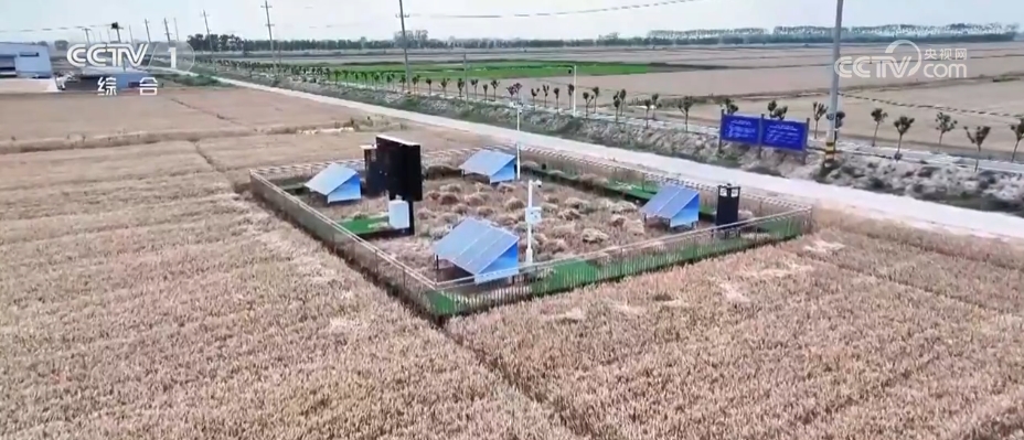 “田管家”助力“三夏”提速增效農機協同“服務套餐”夯實豐收基礎農機