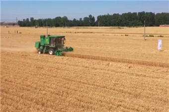 高效农机助力夏收夏种提速增效