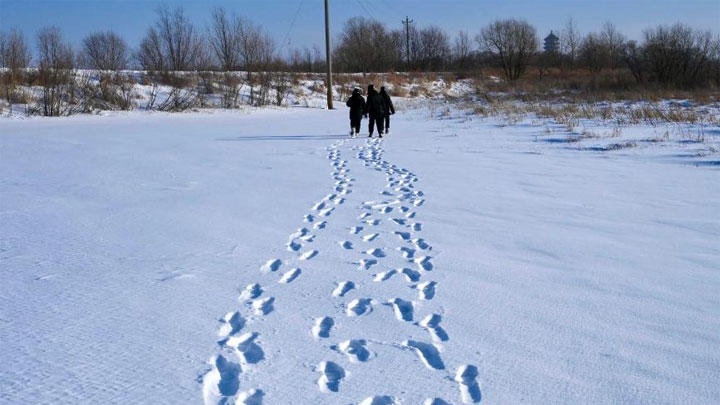 踏雪巡线