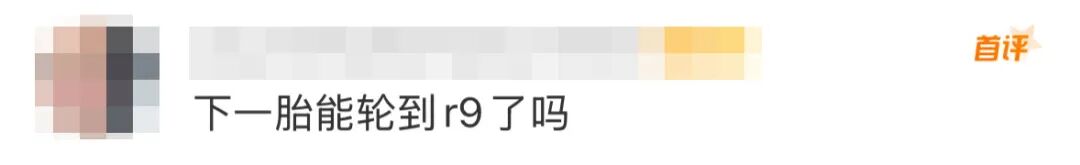 守護(hù)者之森