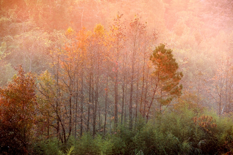 初冬时节 安徽黄山太平湖畔景美如画