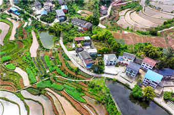 重庆：梯田美如画