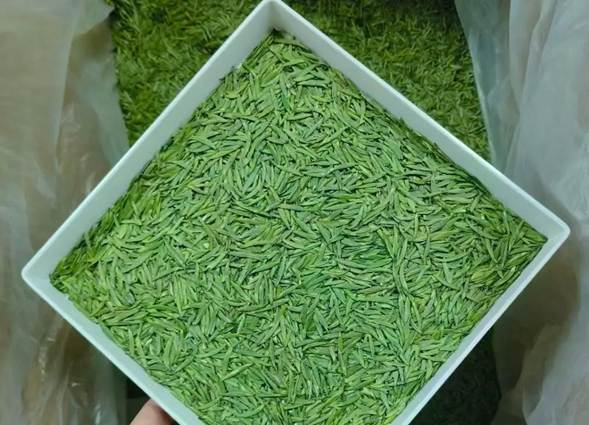 从大巴山到全国百强  “平昌青芽茶”香飘更远