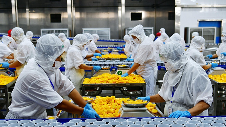 湖北秭归：黄桃深加工助农增收