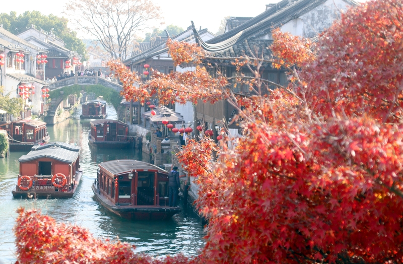 江苏苏州：古山塘红枫掩映 水巷冬景醉游人