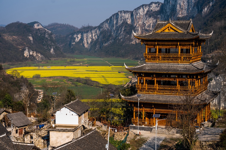 贵州织金:油菜花开春染古寨