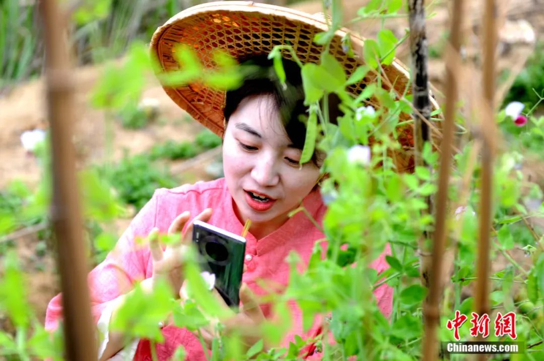 中新社记者 张金川 摄闲暇时,柯嘉华和周晰也会刷刷朋友圈,相比同学们