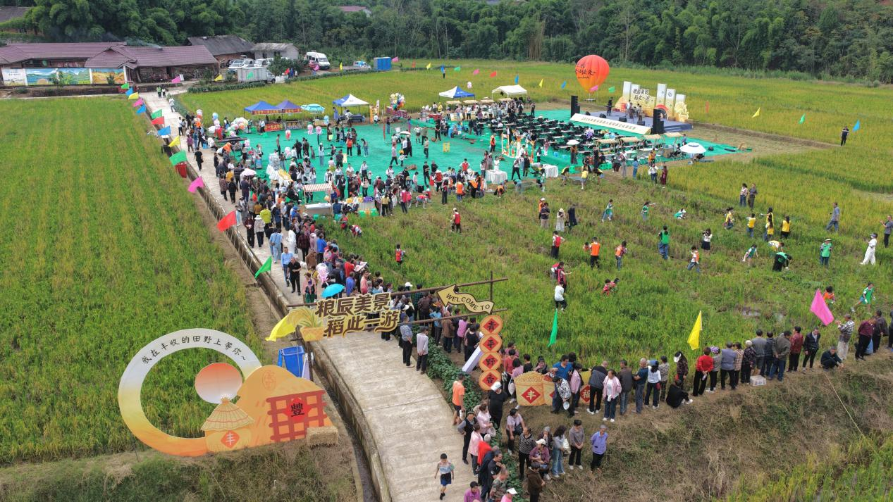 割稻谷、抢鸭子、摸鱼……乐山市市中区稻香文化音乐季太好玩了！