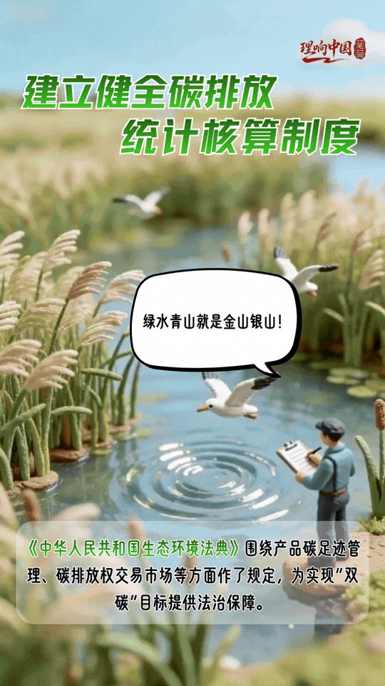 理响中国·一笔一画｜法治护绿！“典”亮美丽中国