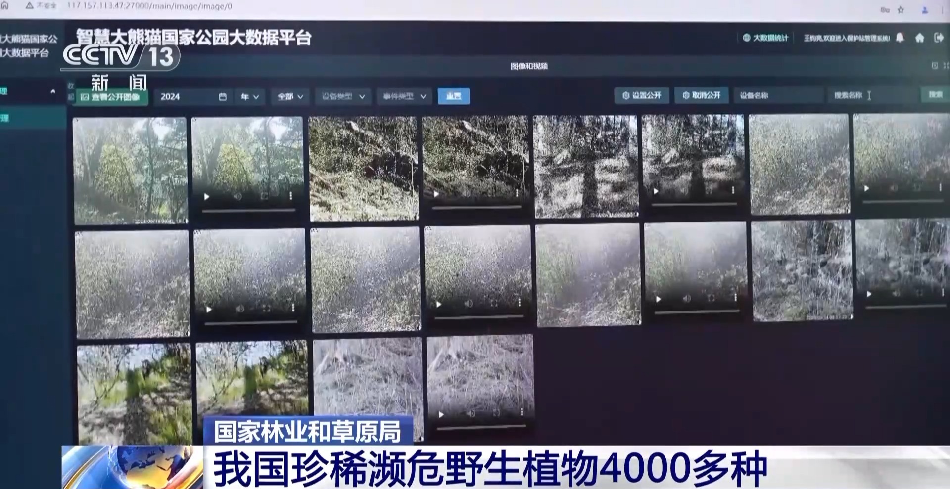 拜登跟空氣握了個手盒子魚英語客服電話動植物