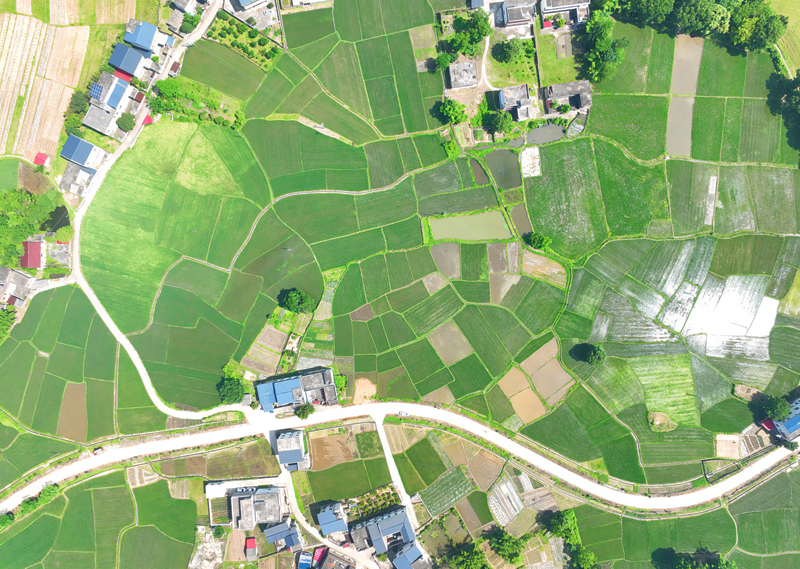 近年来,信丰县持