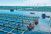 科技兴海，以养兴渔