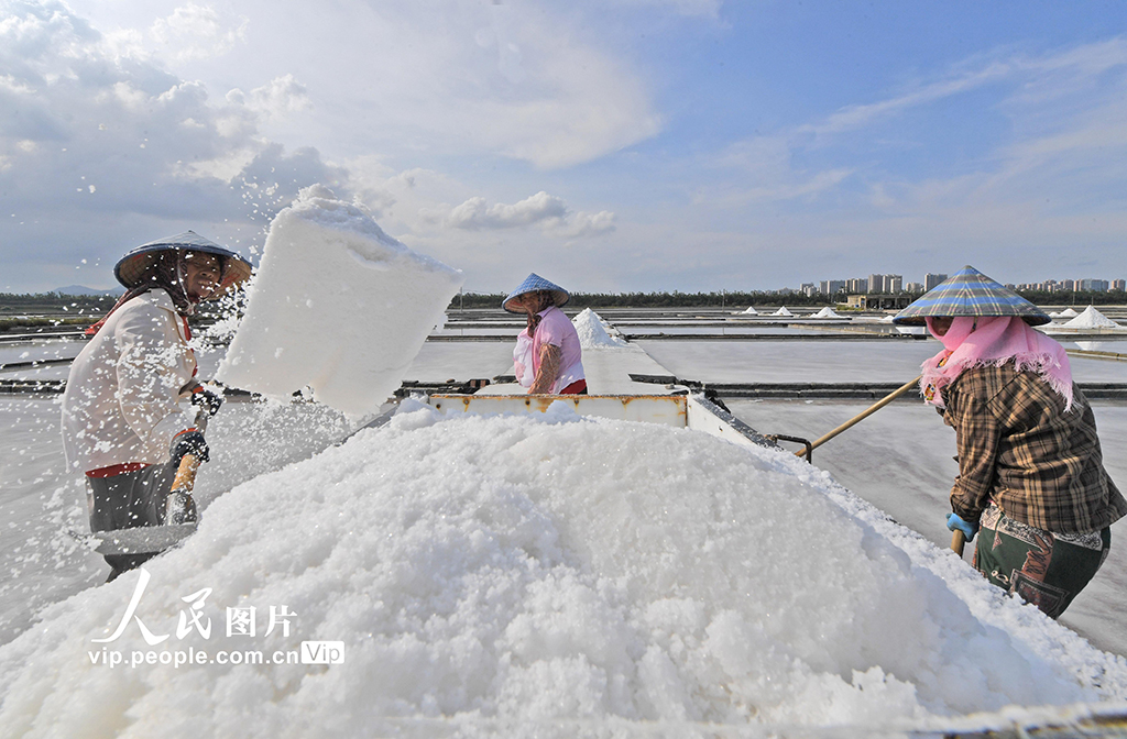 福建泉州：盐场作业插图8