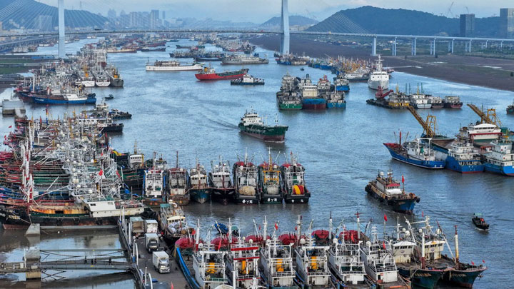 浙江舟山：渔船回港避“巴威”