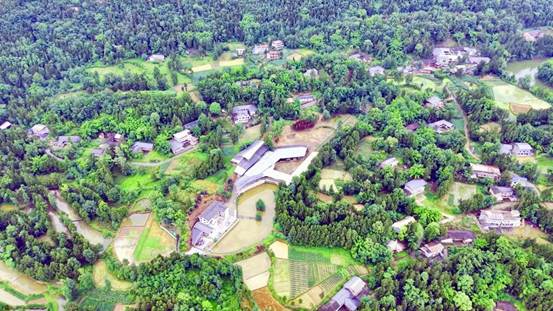 沃土新力量：平昌新农人激活乡村发展新动能