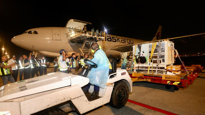 大熊猫“辰星”“晓月”抵达马来西亚吉隆坡