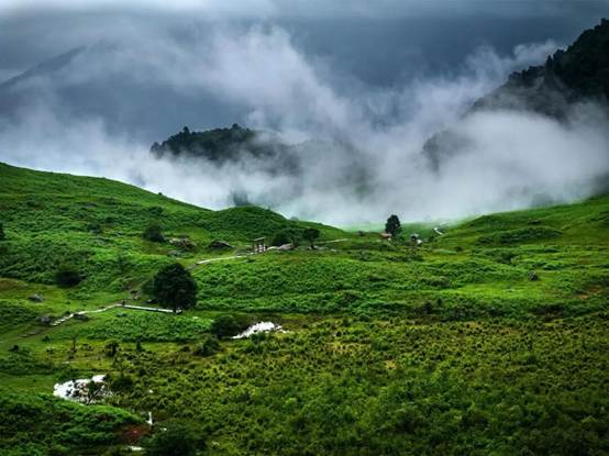徒步浪漫“黑竹沟”   赴一场万物共生的自然之约！