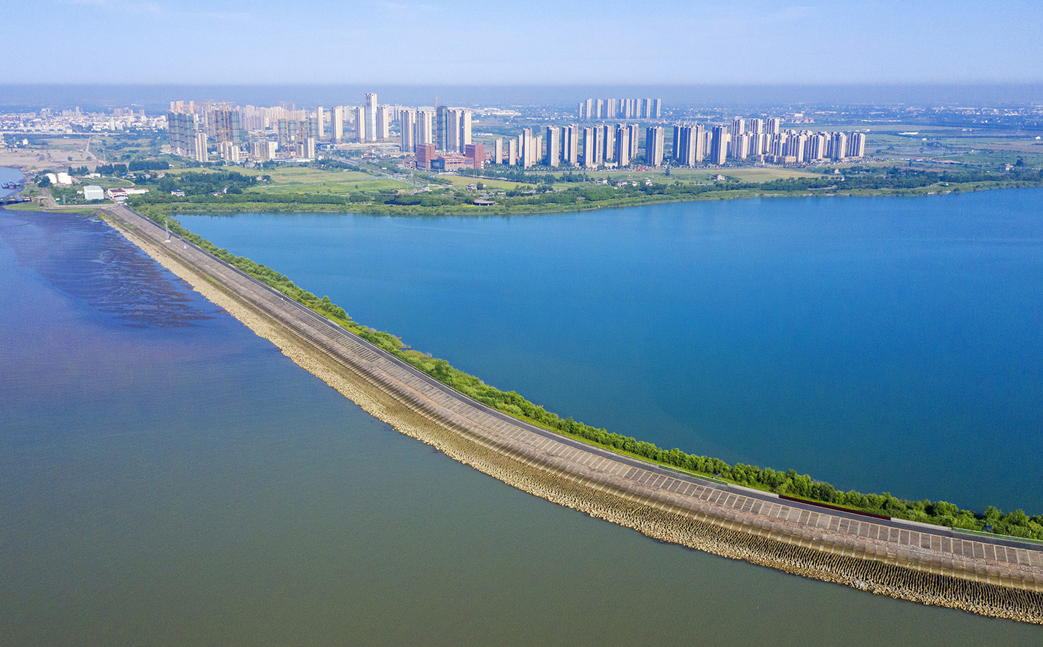 苏州太仓:江滩湿地生态美