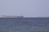 未邀美以伊参会，多国线上峰会谈海湾咽喉通航