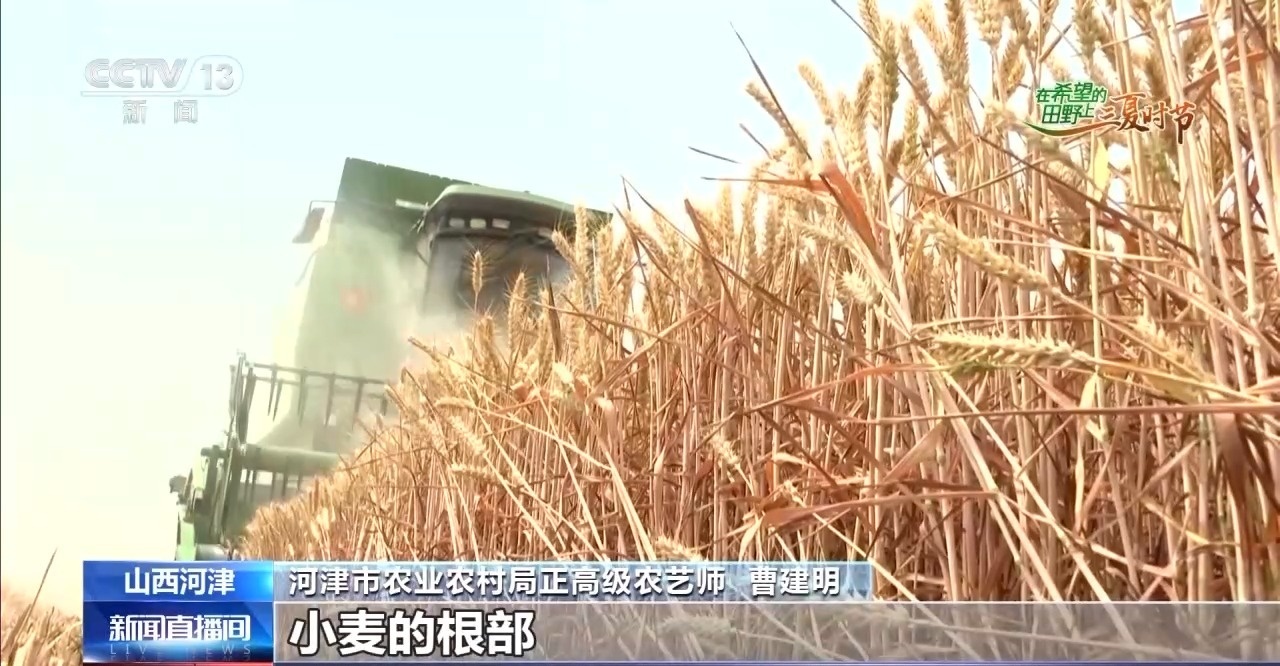 連城小說網手機版下載_獵人小說網免費閱讀_全本小說免費無彈窗在線閱讀
