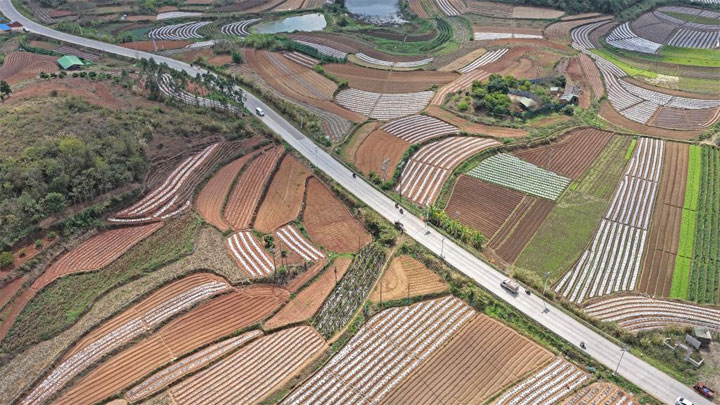 人勤春来早 农忙正当时