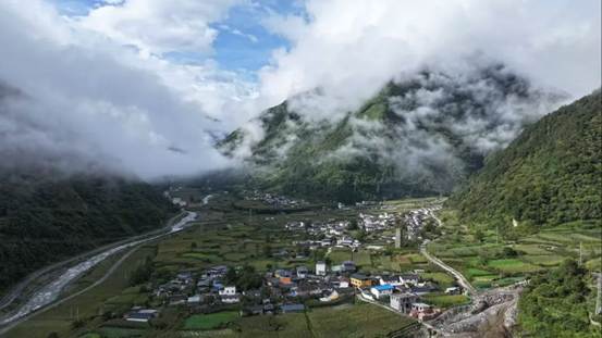 旺季日销2万斤！四川九龙县高山蔬菜“鲜”达成渝餐桌