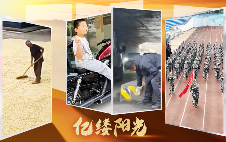 亿缕阳光｜暖意如诗