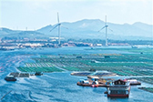 上半年海洋经济稳中向好