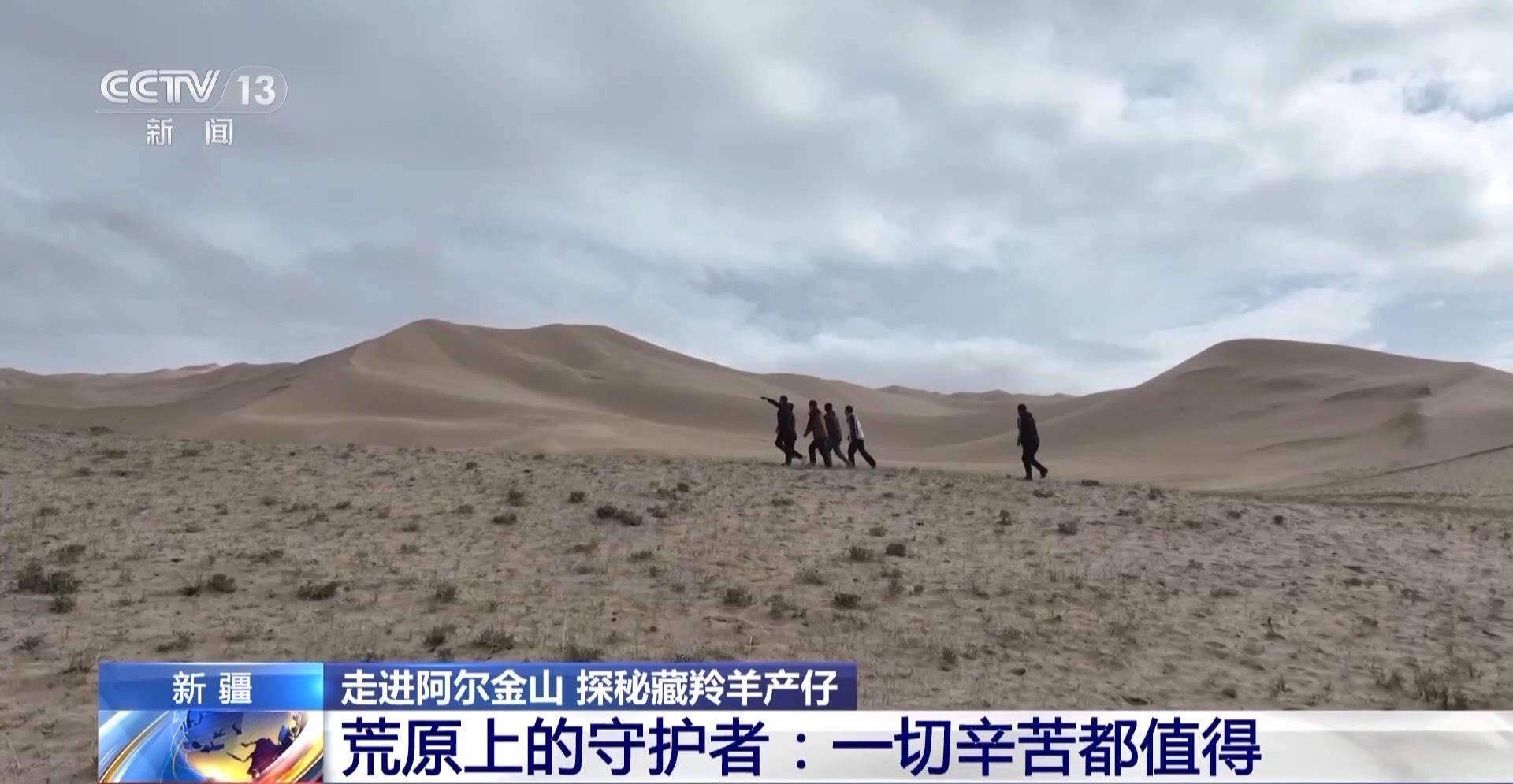 讓萬千藏羚羊在雪地里奔跑荒原上的守護者：一切辛苦都值得阿爾金山