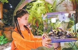 “东北超”：一张票根的“连连看”