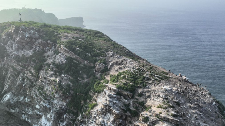 探访中国新晋世遗长山群岛候鸟栖息地