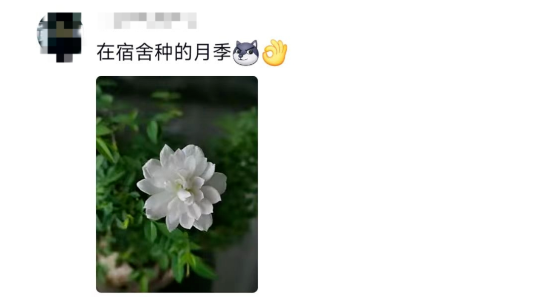 这个宿舍终究还是选对了！网友：可以睡觉是它最不值一提的优点插图8