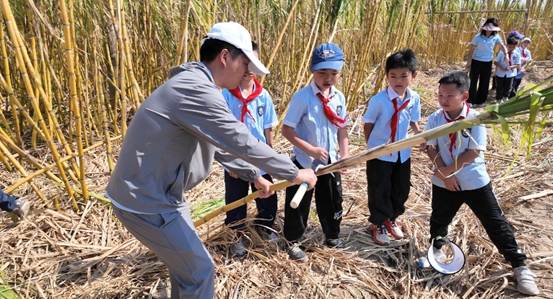 云南广南：一堂“甜蜜”的劳动课