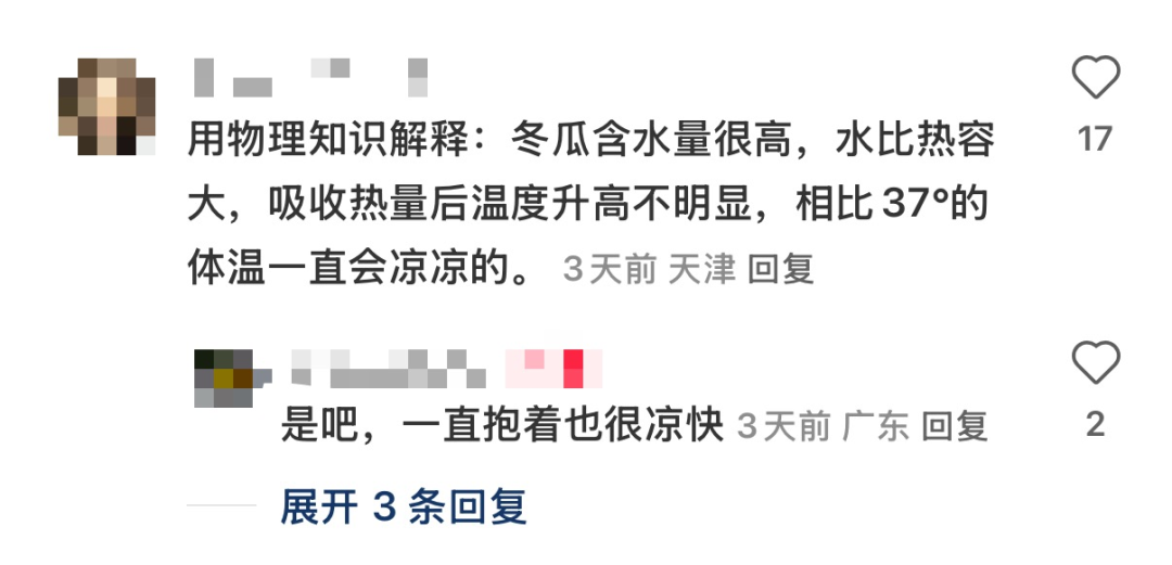 一夜之间，“抱着冬瓜睡觉”突然走红！男子在深圳买28斤冬瓜带回香港插图4