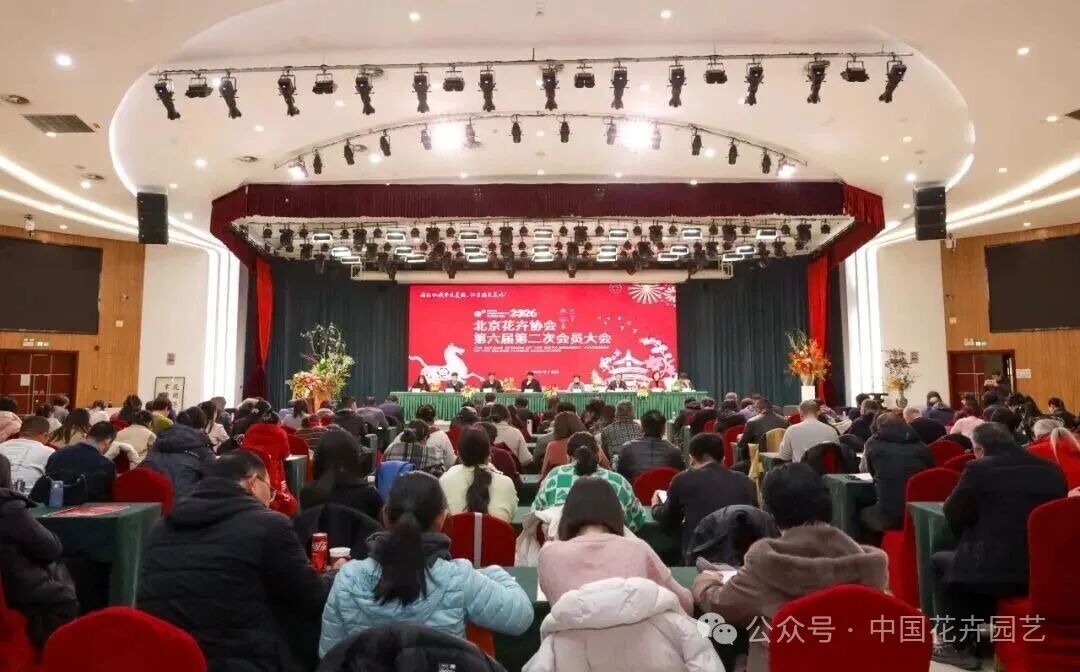 助力首都园林绿化高质量发展，北京花卉协会全力以赴