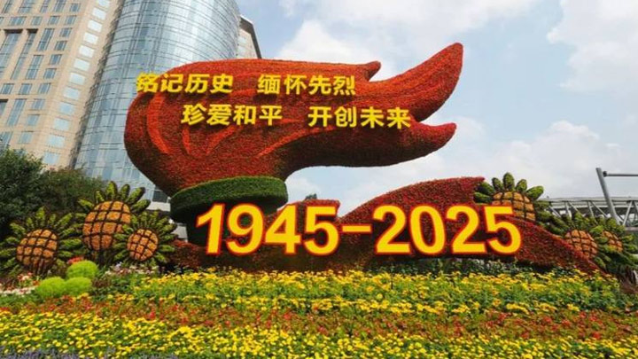 走近6名青年人，听他们讲述传承弘扬抗战精神的故事