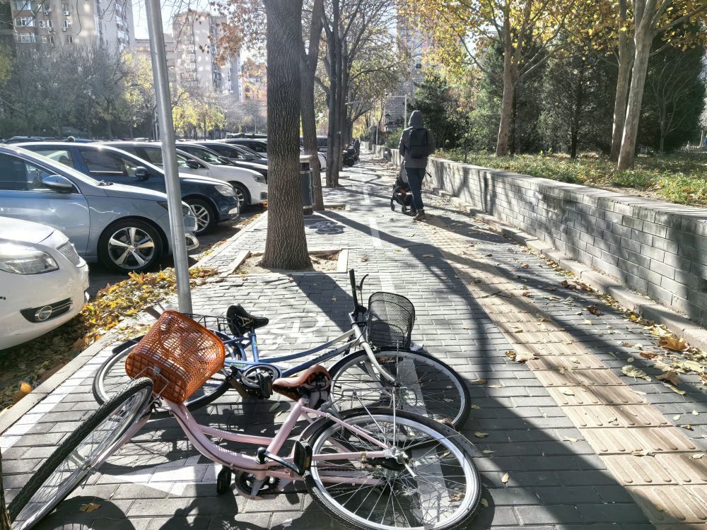 寒潮来袭、大风呼啸，如何应对？