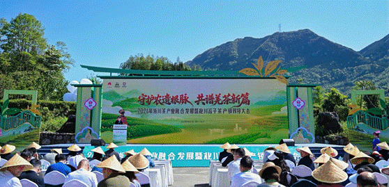 投入3830万元协作资金！浙川围绕“三茶融合”开展深度合作 实现协同发展