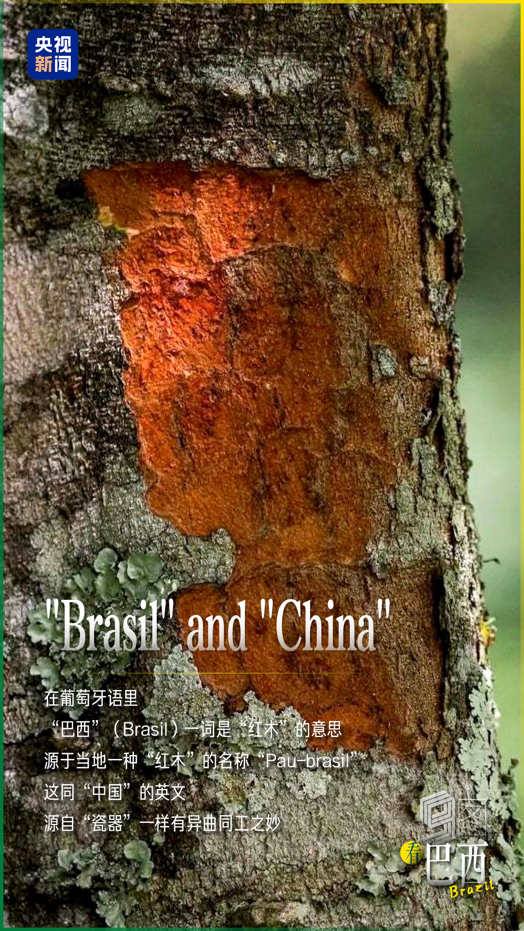 跟着习主席看世界| 9图看巴西