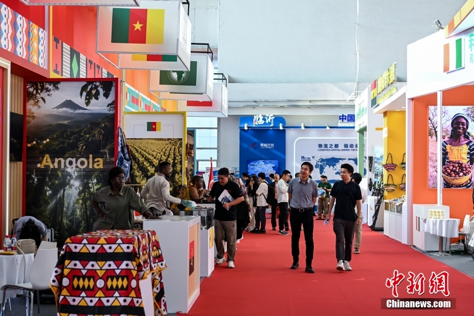 中新网记者 李骏 摄 图为观众在多个国家馆间逛展。