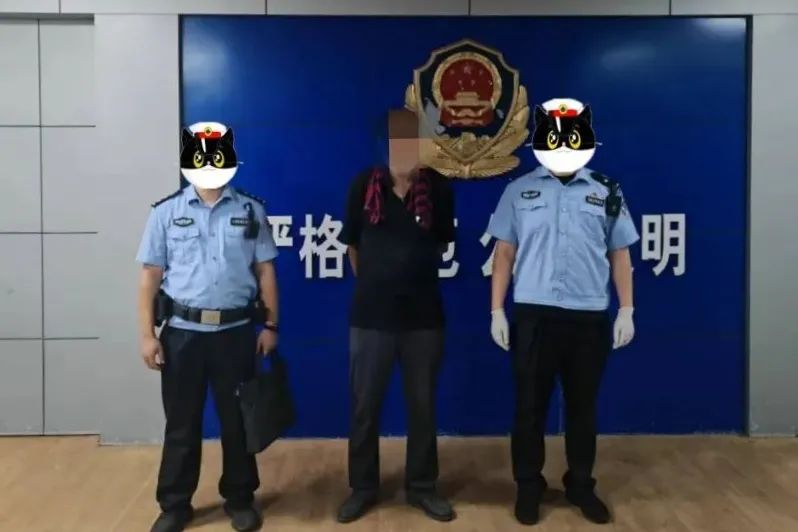 见大鹅肥美为吃铁锅炖大鹅，男子偷鹅被拘插图1