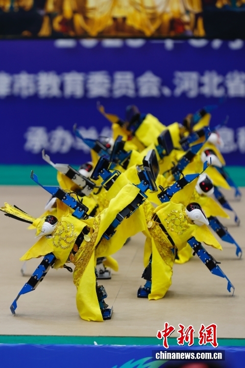 中新社记者 韩海丹 摄 8月2日，2025年华北五省（市、自治区）大学生机器人大赛舞蹈专项赛在北京信息科技大学举行。作为2025世界人形机器人运动会外围赛集体舞蹈赛的预选赛，本次大赛共有19所高校、32支队伍、176名师生参加。