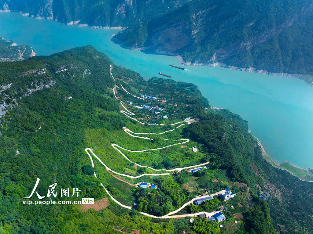 湖北秭归：路畅景美产业兴插图4