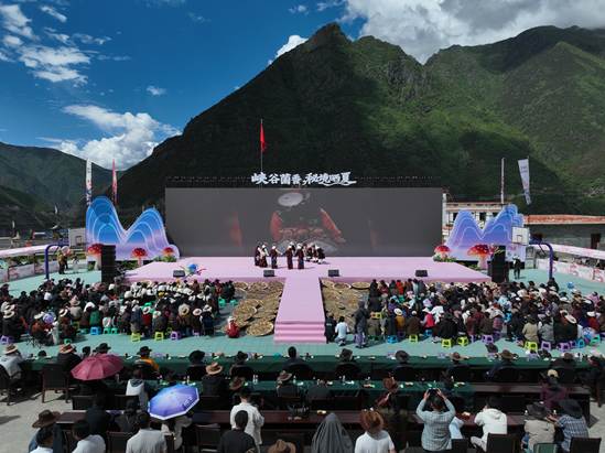 菌香引客来 四川道孚县扎坝红菌丰收季激活高原乡村振兴动能