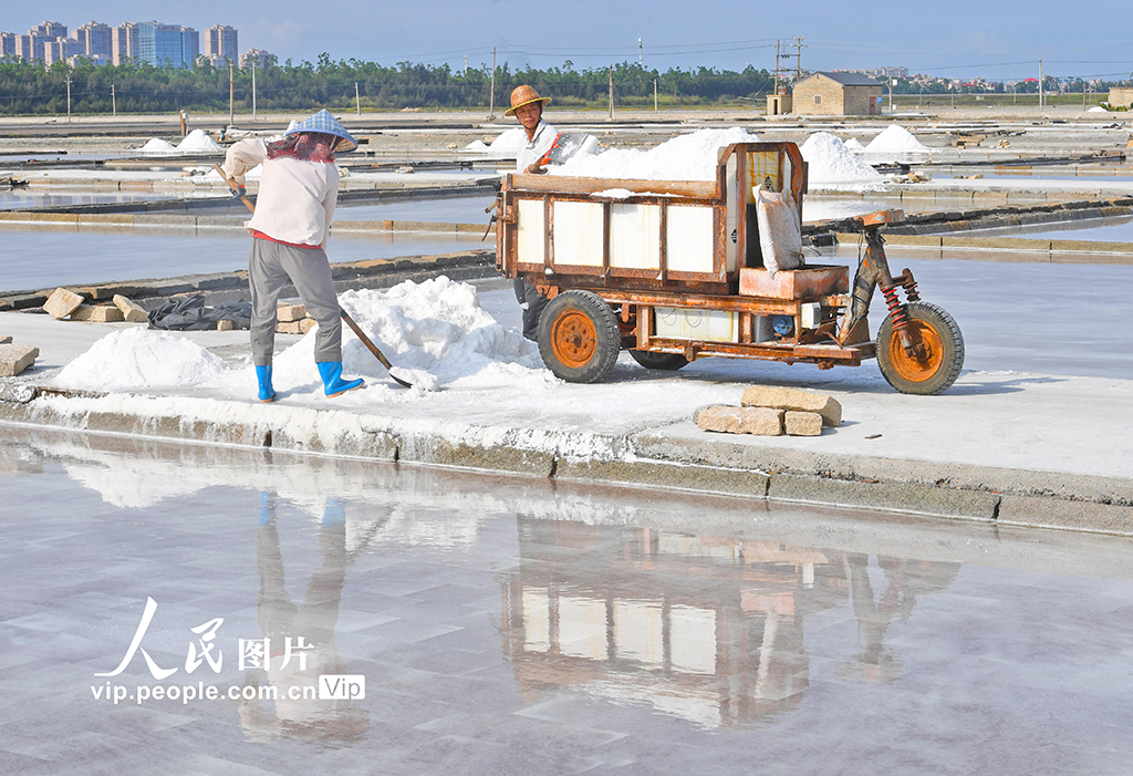 福建泉州：盐场作业插图4