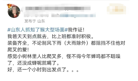 提桶抓、熬夜抓，有人一晚上抓几百只！“知了猴”为啥这么抢手？插图4
