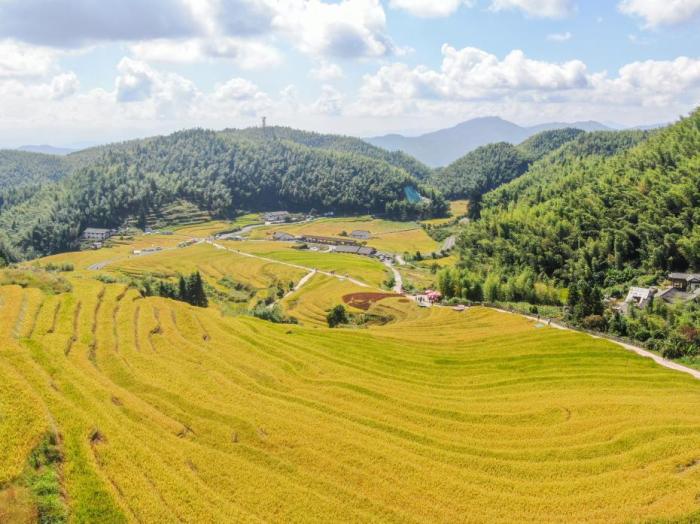 中国农业农村部：全年粮食有望再获丰收