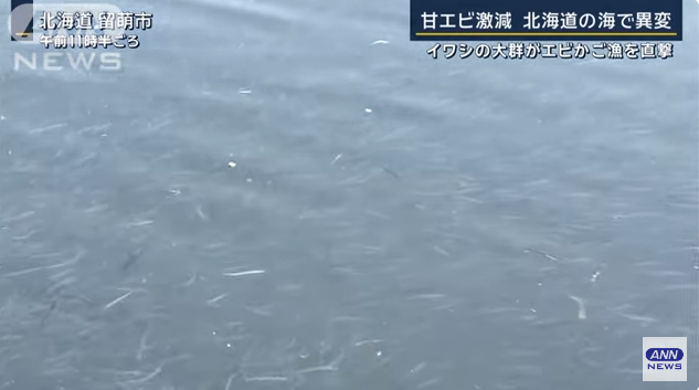 日媒称北海道海域出现异常情况 原因有待查明