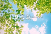 这样的取景框与夏天最搭