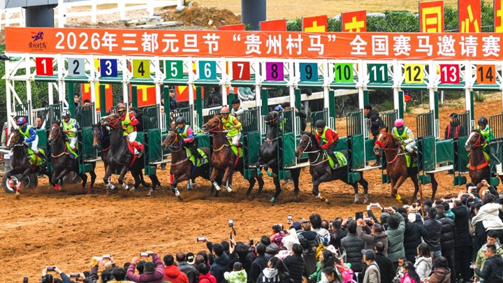 贵州“村马”迎元旦